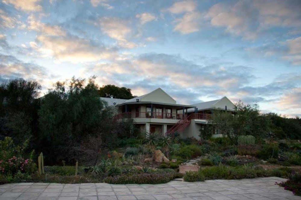 Calitzdorp Country House מראה חיצוני תמונה